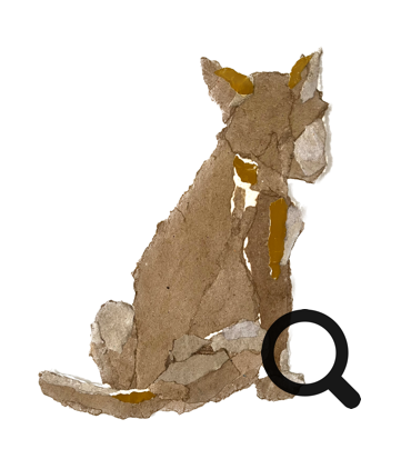 27 cm x 23 cm